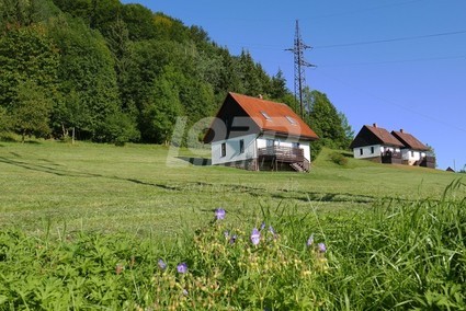 Pronájem rekreačního domu se zahradou v Podkrkonoší  - Fotka 25